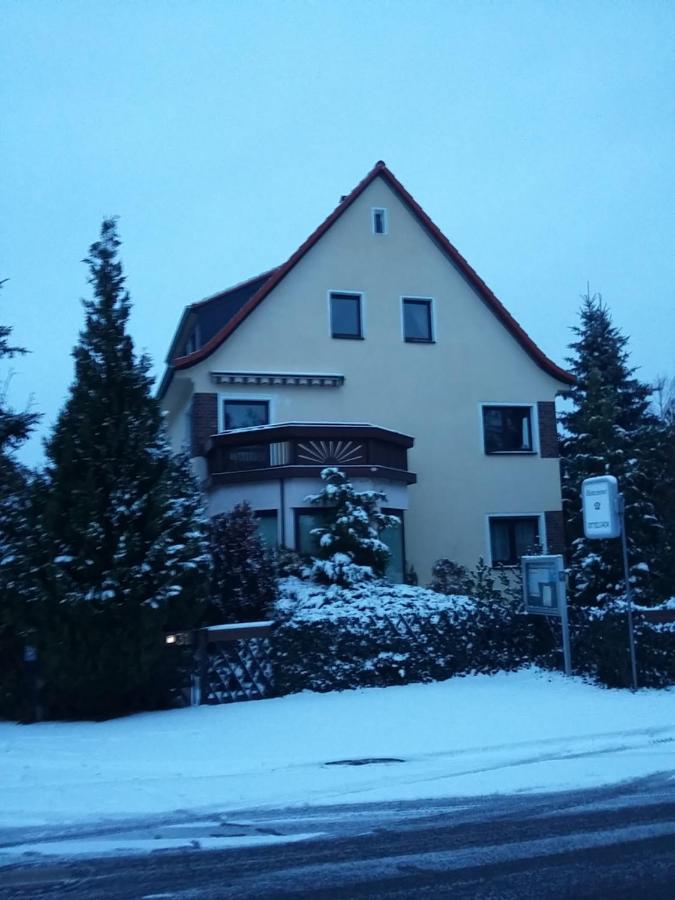 An Den Linden 31 Apartman Lipcse Kültér fotó