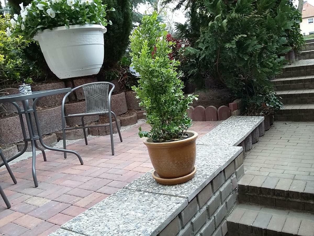 An Den Linden 31 Apartman Lipcse Kültér fotó